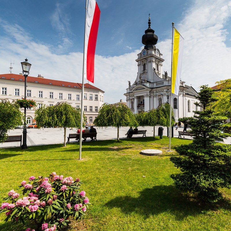 a large lawn in front of a flower