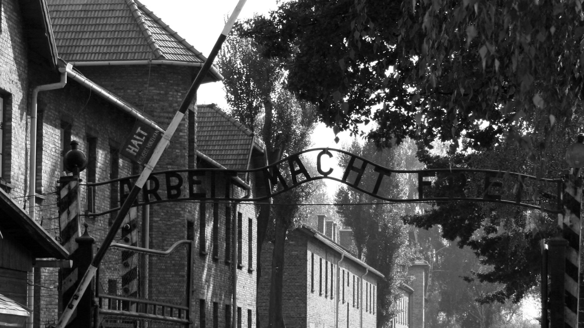Auschwitz