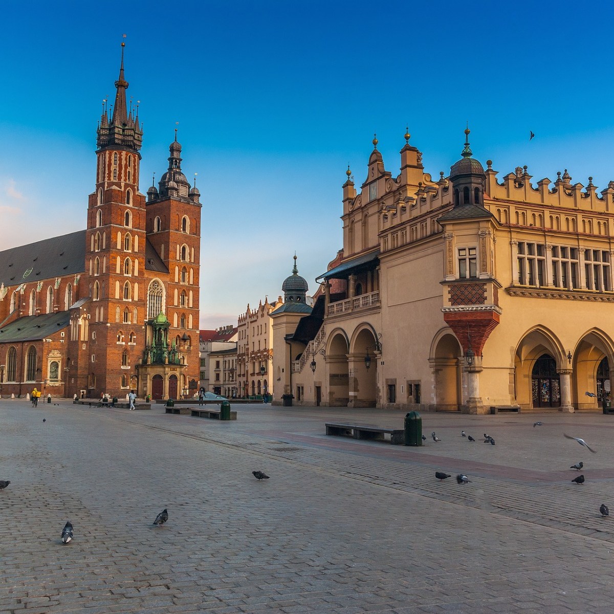 a flock of seagulls are standing in front of Main Square, Kraków