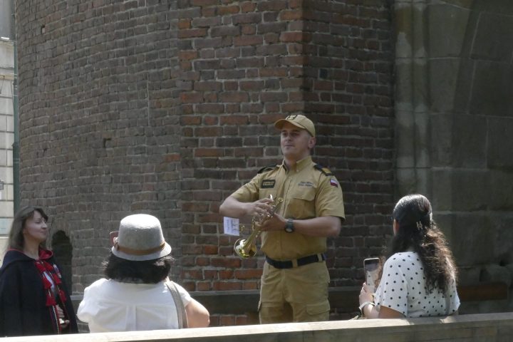 Guide in uniform shows group a building with brick wall background.