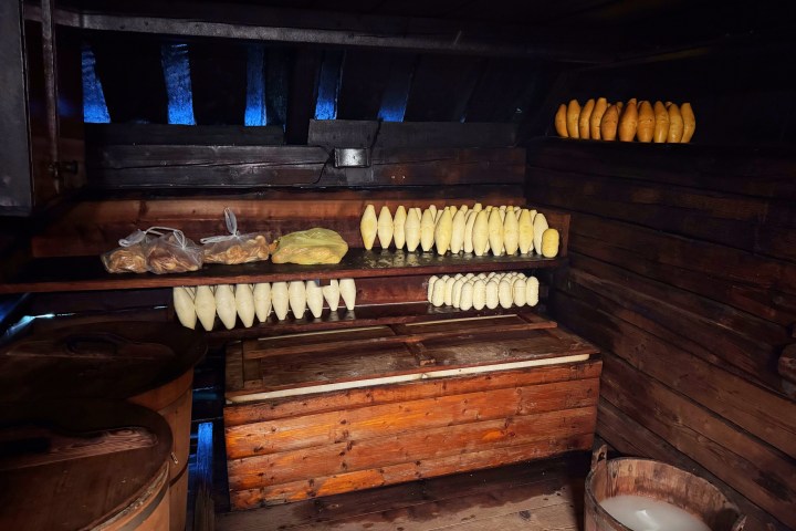 Wooden room with cheese wheels on shelves and barrels on the floor.