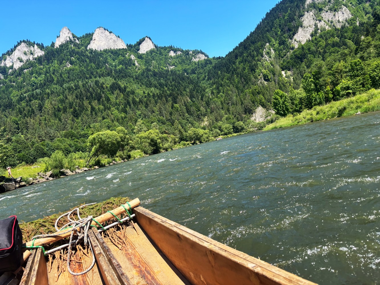 Wooden raft on a river with forested mountains in the background.